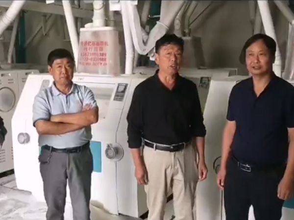 面粉廠試車成功